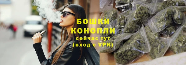 индика Пестово