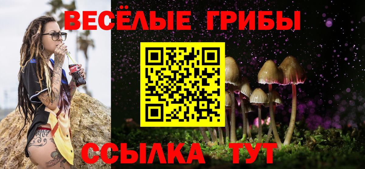 Галлюциногенные грибы Psilocybine cubensis Котлас