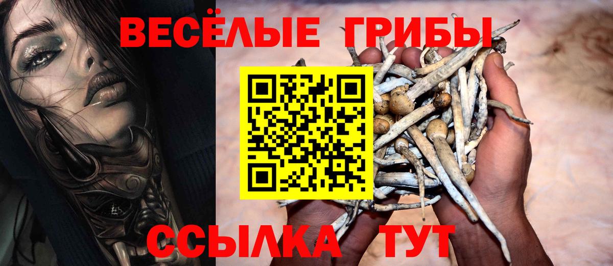 Котлас  Псилоцибиновые грибы прущие грибы  Вход с VPN 