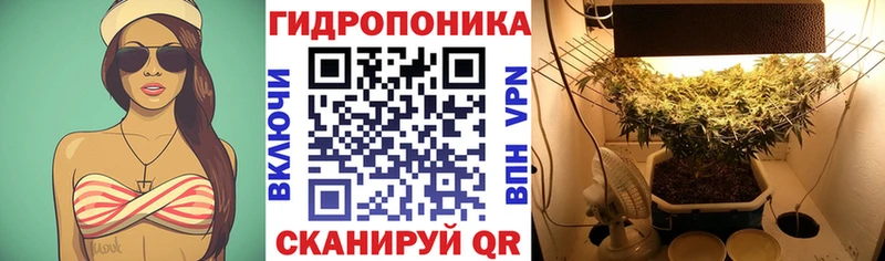 Шишки марихуана THC 21%  Котлас 